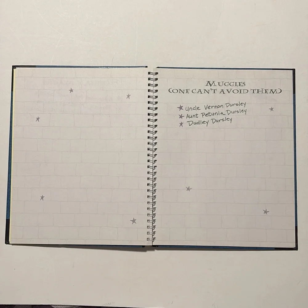 Scholastic Blue and Black Harry Potter Hogwarts Journal